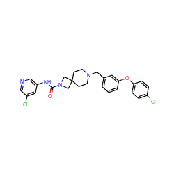 O=C(Nc1cncc(Cl)c1)N1CC2(CCN(Cc3cccc(Oc4ccc(Cl)cc4)c3)CC2)C1 ZINC000103263354