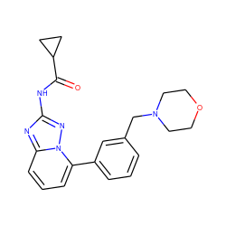 O=C(Nc1nc2cccc(-c3cccc(CN4CCOCC4)c3)n2n1)C1CC1 ZINC000096174617