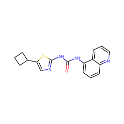 O=C(Nc1ncc(C2CCC2)s1)Nc1cccc2ncccc12 ZINC000028393774