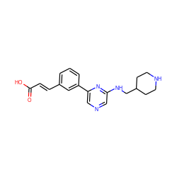 O=C(O)/C=C/c1cccc(-c2cncc(NCC3CCNCC3)n2)c1 ZINC000040380473