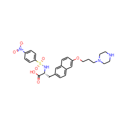 O=C(O)[C@@H](Cc1ccc2cc(OCCCN3CCNCC3)ccc2c1)NS(=O)(=O)c1ccc([N+](=O)[O-])cc1 ZINC001772618026