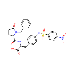 O=C(O)[C@H](Cc1ccc(NS(=O)(=O)c2ccc([N+](=O)[O-])cc2)cc1)NC(=O)[C@@H]1CCC(=O)N1Cc1ccccc1 ZINC000027855483