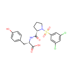 O=C(O)[C@H](Cc1ccc(O)cc1)NC(=O)[C@@H]1CCCN1S(=O)(=O)c1cc(Cl)cc(Cl)c1 ZINC000013436447