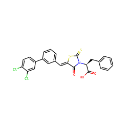 O=C(O)[C@H](Cc1ccccc1)N1C(=O)/C(=C/c2cccc(-c3ccc(Cl)c(Cl)c3)c2)SC1=S ZINC000096929608