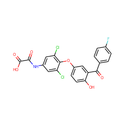 O=C(O)C(=O)Nc1cc(Cl)c(Oc2ccc(O)c(C(=O)c3ccc(F)cc3)c2)c(Cl)c1 ZINC000013602432