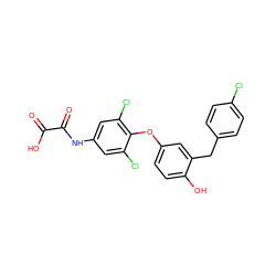 O=C(O)C(=O)Nc1cc(Cl)c(Oc2ccc(O)c(Cc3ccc(Cl)cc3)c2)c(Cl)c1 ZINC000013602443