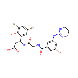 O=C(O)C[C@@H](NC(=O)CNC(=O)c1cc(O)cc(NC2=NCCCN2)c1)c1cc(Br)cc(Br)c1O ZINC000028714278