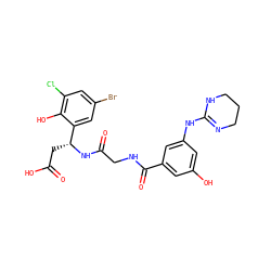 O=C(O)C[C@@H](NC(=O)CNC(=O)c1cc(O)cc(NC2=NCCCN2)c1)c1cc(Br)cc(Cl)c1O ZINC000096318548