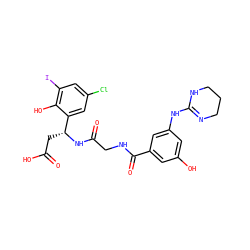 O=C(O)C[C@@H](NC(=O)CNC(=O)c1cc(O)cc(NC2=NCCCN2)c1)c1cc(Cl)cc(I)c1O ZINC000096318555