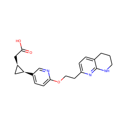 O=C(O)C[C@@H]1C[C@@H]1c1ccc(OCCc2ccc3c(n2)NCCC3)nc1 ZINC000028648179