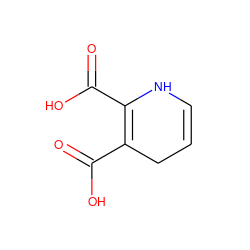 O=C(O)C1=C(C(=O)O)NC=CC1 ZINC000141101071