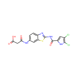 O=C(O)CC(=O)Nc1ccc2nc(NC(=O)c3cc(Cl)c(Cl)[nH]3)sc2c1 ZINC001772640031