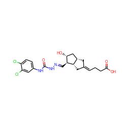 O=C(O)CC/C=C1\C[C@H]2C[C@@H](O)[C@H](/C=N/NC(=O)Nc3ccc(Cl)c(Cl)c3)[C@H]2C1 ZINC000026165184