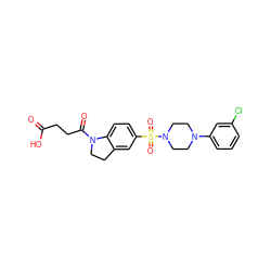 O=C(O)CCC(=O)N1CCc2cc(S(=O)(=O)N3CCN(c4cccc(Cl)c4)CC3)ccc21 ZINC000118525819