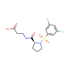 O=C(O)CCNC(=O)[C@@H]1CCCN1S(=O)(=O)c1cc(Cl)cc(Cl)c1 ZINC000013438585