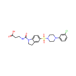 O=C(O)CCNC(=O)N1CCc2cc(S(=O)(=O)N3CCN(c4cccc(Cl)c4)CC3)ccc21 ZINC000118521508