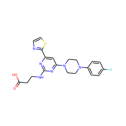 O=C(O)CCNc1nc(-c2nccs2)cc(N2CCN(c3ccc(F)cc3)CC2)n1 ZINC000653714301