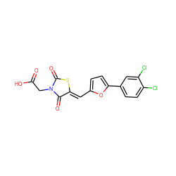 O=C(O)CN1C(=O)S/C(=C\c2ccc(-c3ccc(Cl)c(Cl)c3)o2)C1=O ZINC000013678256