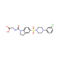 O=C(O)CNC(=O)N1CCc2cc(S(=O)(=O)N3CCN(c4cccc(Cl)c4)CC3)ccc21 ZINC000118524503