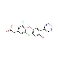 O=C(O)Cc1cc(Cl)c(Oc2ccc(O)c(-c3cncnc3)c2)c(Cl)c1 ZINC000014969271