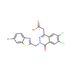 O=C(O)Cc1nn(Cc2nc3ccc(Br)cc3s2)c(=O)c2cc(Cl)c(Cl)cc12 ZINC000013860807