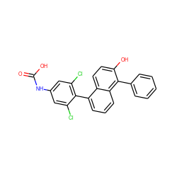 O=C(O)Nc1cc(Cl)c(-c2cccc3c(-c4ccccc4)c(O)ccc23)c(Cl)c1 ZINC000028524627