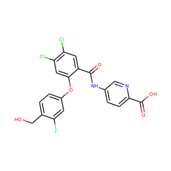 O=C(O)c1ccc(NC(=O)c2cc(Cl)c(Cl)cc2Oc2ccc(CO)c(F)c2)cn1 ZINC000218493981