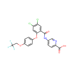 O=C(O)c1ccc(NC(=O)c2cc(Cl)c(Cl)cc2Oc2ccc(OCC(F)(F)F)cc2)cn1 ZINC000143170690