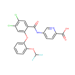 O=C(O)c1ccc(NC(=O)c2cc(Cl)c(Cl)cc2Oc2ccccc2OC(F)F)cn1 ZINC000143157801