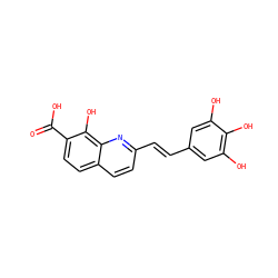 O=C(O)c1ccc2ccc(/C=C/c3cc(O)c(O)c(O)c3)nc2c1O ZINC000003828932