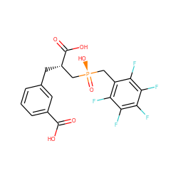 O=C(O)c1cccc(C[C@@H](C[P@](=O)(O)Cc2c(F)c(F)c(F)c(F)c2F)C(=O)O)c1 ZINC000013686697