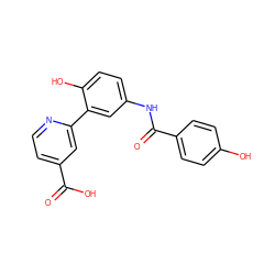 O=C(O)c1ccnc(-c2cc(NC(=O)c3ccc(O)cc3)ccc2O)c1 ZINC000263620772