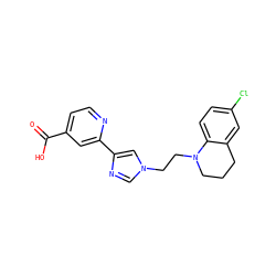 O=C(O)c1ccnc(-c2cn(CCN3CCCc4cc(Cl)ccc43)cn2)c1 ZINC000218218952