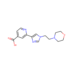 O=C(O)c1ccnc(-c2cn(CCN3CCOCC3)cn2)c1 ZINC000225949903