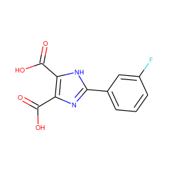 O=C(O)c1nc(-c2cccc(F)c2)[nH]c1C(=O)O ZINC000064527806