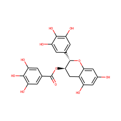 O=C(O[C@@H]1Cc2c(O)cc(O)cc2O[C@H]1c1cc(O)c(O)c(O)c1)c1cc(O)c(O)c(O)c1 ZINC000003870413