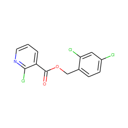 O=C(OCc1ccc(Cl)cc1Cl)c1cccnc1Cl ZINC000005506020