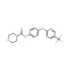 O=C(Oc1ccc(Oc2ccc(C(F)(F)F)cn2)cc1)N1CCOCC1 ZINC000028826678