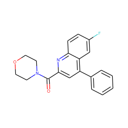 O=C(c1cc(-c2ccccc2)c2cc(F)ccc2n1)N1CCOCC1 ZINC000169320906