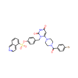 O=C(c1ccc(Br)cc1)N1CCN(c2cc(=O)[nH]c(=O)n2Cc2ccc(OS(=O)(=O)c3cccc4cnccc34)cc2)CC1 ZINC000205366859