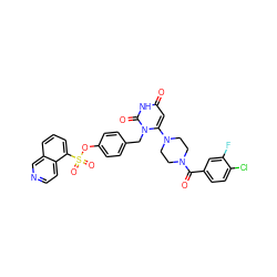 O=C(c1ccc(Cl)c(F)c1)N1CCN(c2cc(=O)[nH]c(=O)n2Cc2ccc(OS(=O)(=O)c3cccc4cnccc34)cc2)CC1 ZINC000205366924