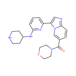 O=C(c1ccc2ncc(-c3cccc(NC4CCNCC4)n3)n2c1)N1CCOCC1 ZINC000029044640