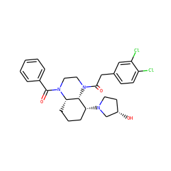 O=C(c1ccccc1)N1CCN(C(=O)Cc2ccc(Cl)c(Cl)c2)[C@H]2[C@@H]1CCC[C@H]2N1CC[C@H](O)C1 ZINC000299827671