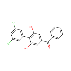 O=C(c1ccccc1)c1cc(O)c(-c2cc(Cl)cc(Cl)c2)c(O)c1 ZINC000040860954