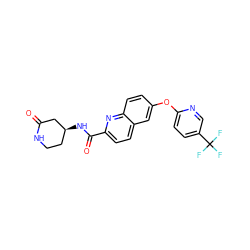 O=C1C[C@@H](NC(=O)c2ccc3cc(Oc4ccc(C(F)(F)F)cn4)ccc3n2)CCN1 ZINC001772593114