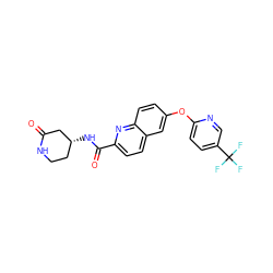 O=C1C[C@H](NC(=O)c2ccc3cc(Oc4ccc(C(F)(F)F)cn4)ccc3n2)CCN1 ZINC001772592481