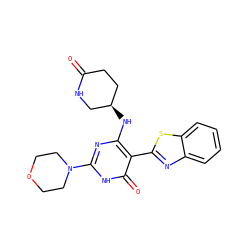 O=C1CC[C@@H](Nc2nc(N3CCOCC3)[nH]c(=O)c2-c2nc3ccccc3s2)CN1 ZINC000473114700