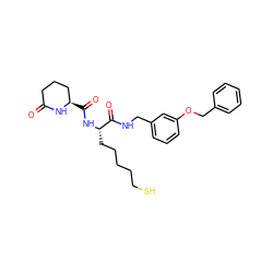 O=C1CCC[C@@H](C(=O)N[C@@H](CCCCCS)C(=O)NCc2cccc(OCc3ccccc3)c2)N1 ZINC000205066126