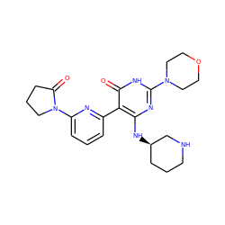 O=C1CCCN1c1cccc(-c2c(N[C@@H]3CCCNC3)nc(N3CCOCC3)[nH]c2=O)n1 ZINC000220612483