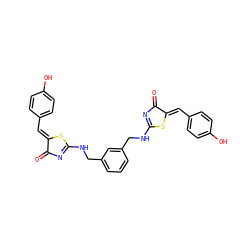 O=C1N=C(NCc2cccc(CNC3=NC(=O)/C(=C/c4ccc(O)cc4)S3)c2)S/C1=C\c1ccc(O)cc1 ZINC000095561904